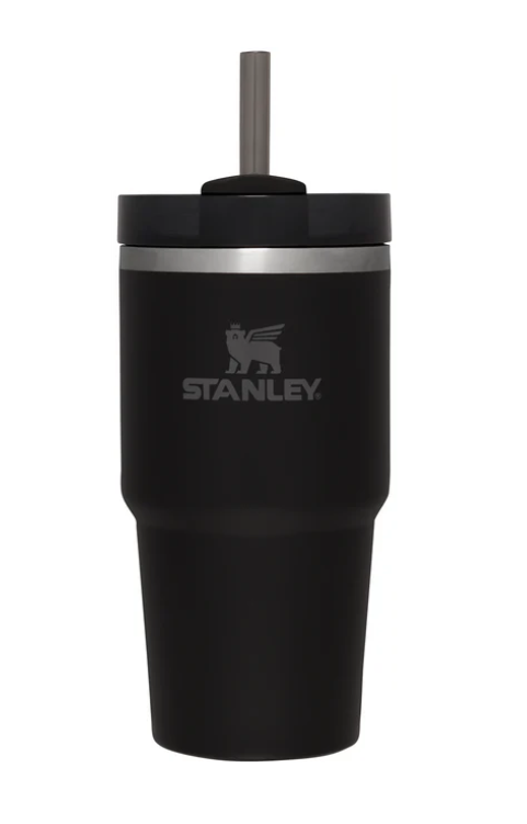 Top 10 Stanley Quencher tumbler dupes under $30 